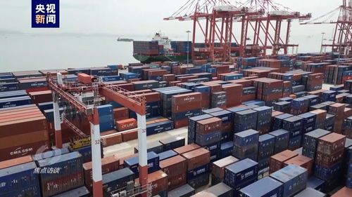 偉大的歷史變革丨高水平對外開放引領(lǐng)普通貨物倉儲服務(wù)轉(zhuǎn)型升級